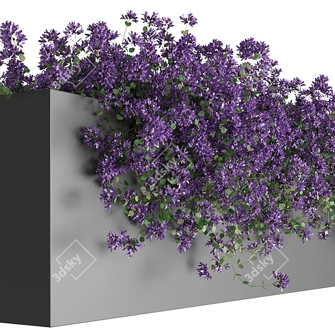 Breckland Thyme Hanging Plants Set 3D model image 2