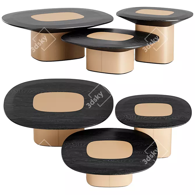 Disk Coffee Tables Set Trussardi 3D model image 1