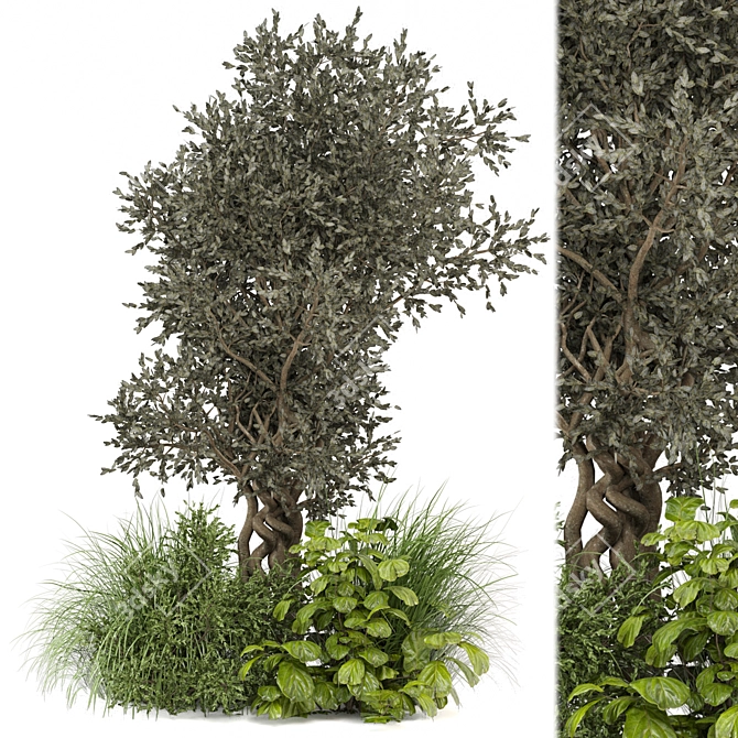 Lush Bush & Tree Set 3D model image 1
