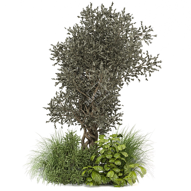 Lush Bush & Tree Set 3D model image 4