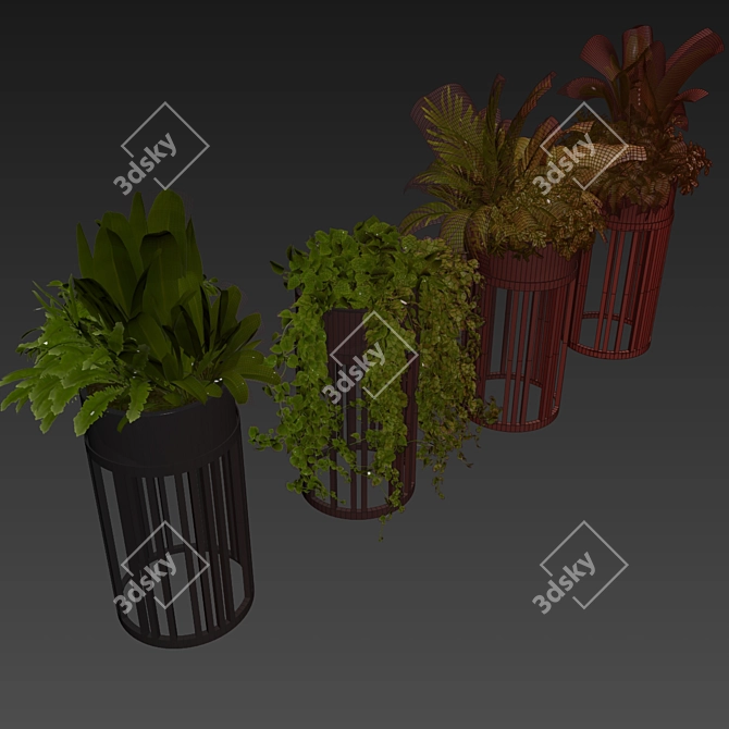 Premium Plant Collection for 3D enthusiastics 3D model image 7