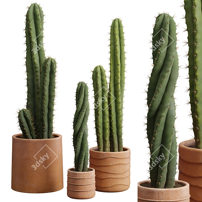 Desert Cactus Collection 3D model image 2