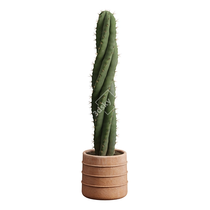 Desert Cactus Collection 3D model image 5