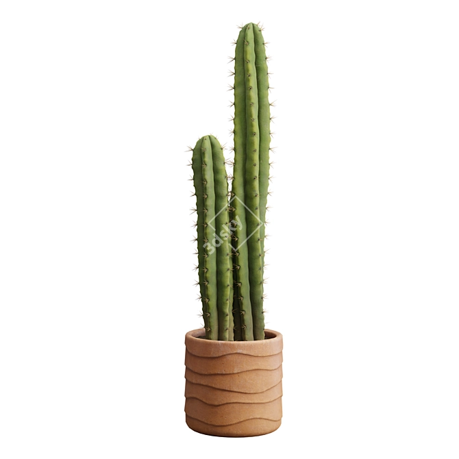 Desert Cactus Collection 3D model image 6