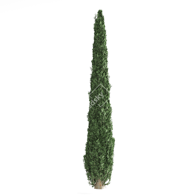 Pine Tree Set 3D Model 3D model image 2