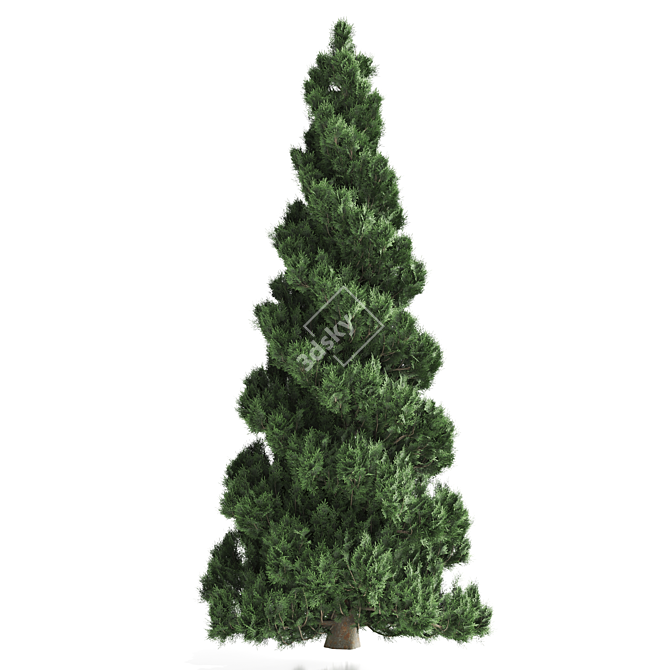 Pine Tree Set 3D Model 3D model image 3