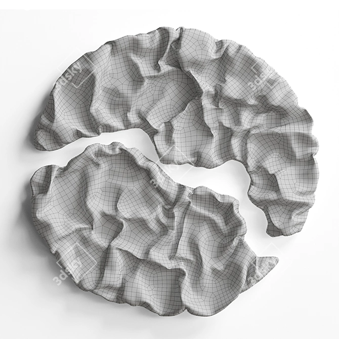 Garnet Folds Fabric Relief Sculpture 3D model image 9