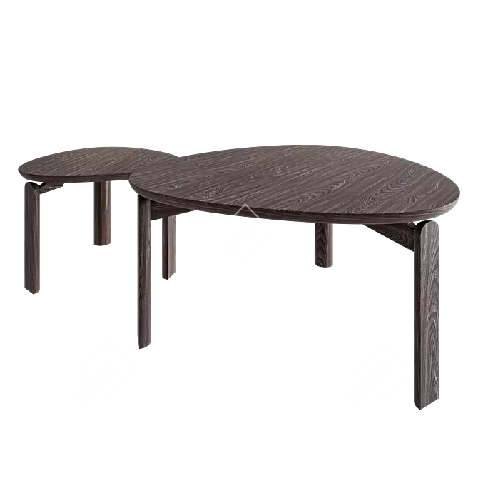 Solid Wood Coffee Table Set 3D model image 2