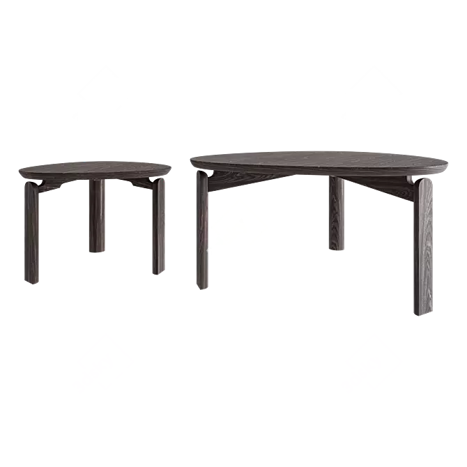 Solid Wood Coffee Table Set 3D model image 3