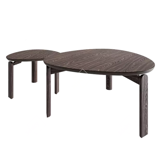 Solid Wood Coffee Table Set 3D model image 7
