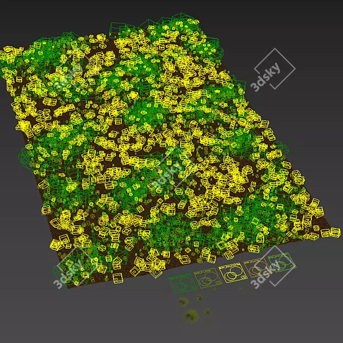 Golden Carex Grass 3D Models 3D model image 5