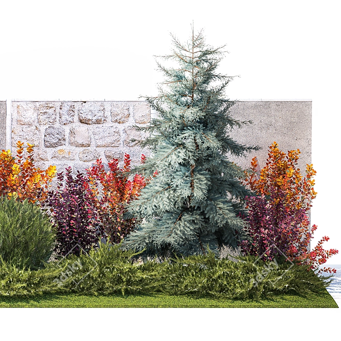 Collection of Large Plants: Thuja, Cypress, Blue Spruce 3D model image 3