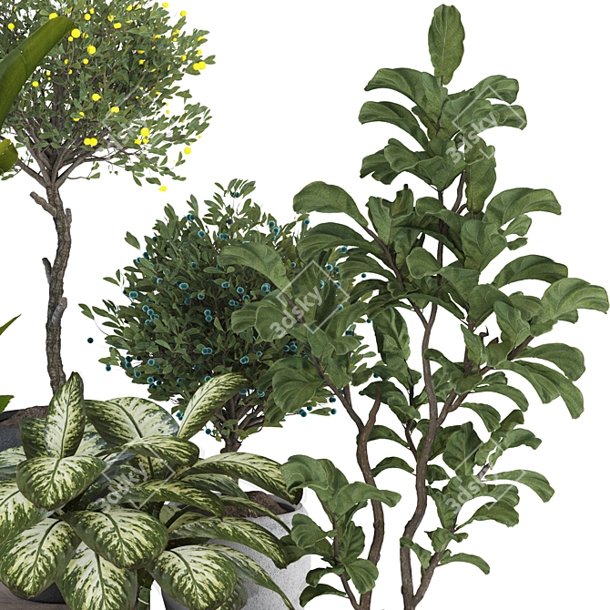 Tropical Indoor Plant Set Mesh 3D model image 3