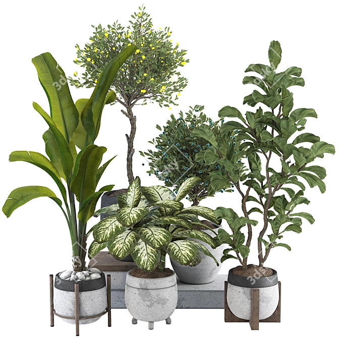 Tropical Indoor Plant Set Mesh 3D model image 8