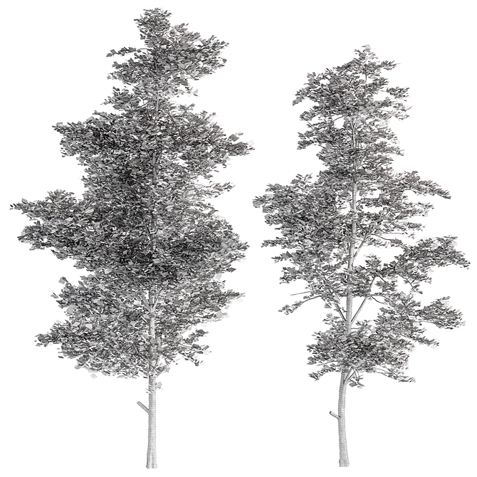 Red Maple 246 Tree Set 3D model image 3