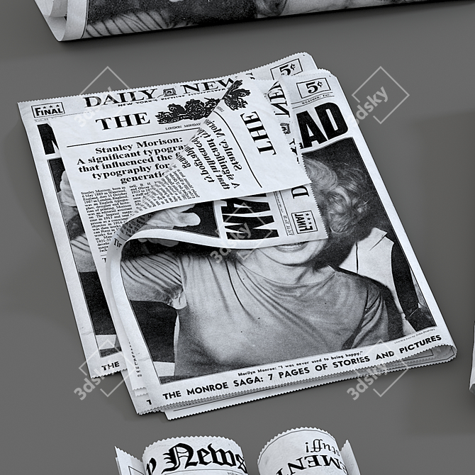  Assorted Newspaper Collection 3D model image 2