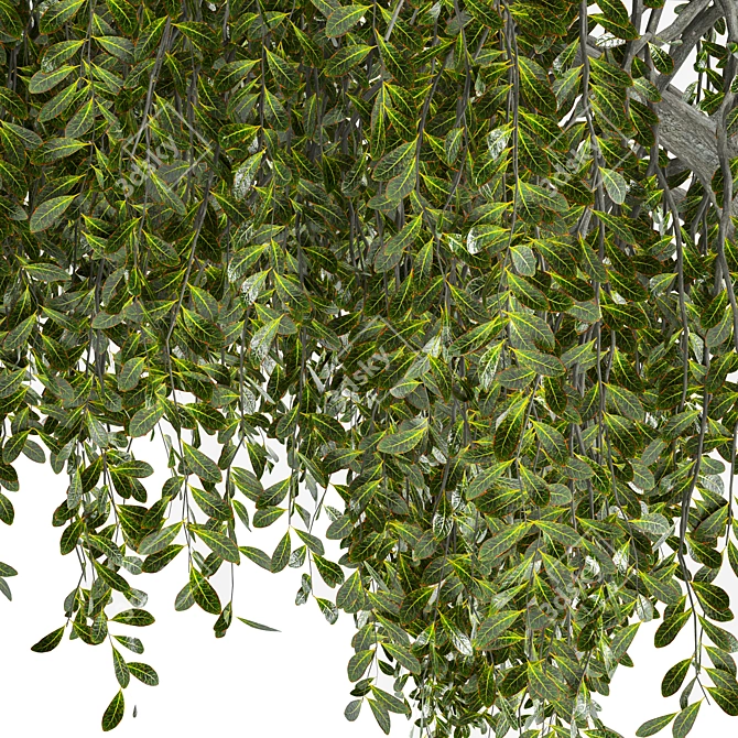 Enchanted Weeping Tree 3D Model 3D model image 6