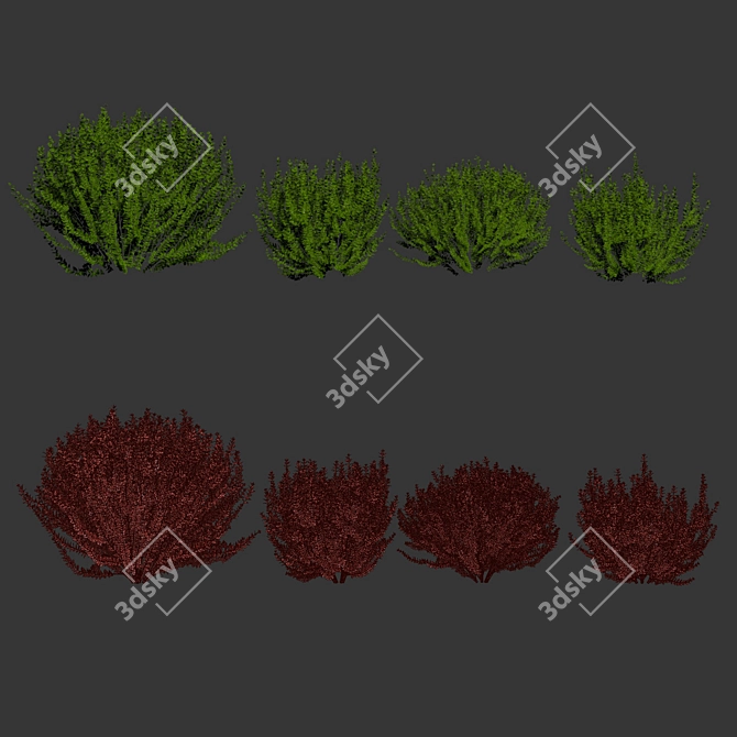 3D Evergreen Bushes Collection Vol 232 3D model image 7