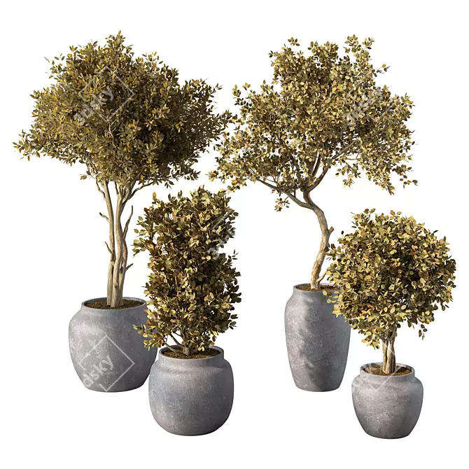 Modern Greenery Decor Accent Piece 3D model image 1