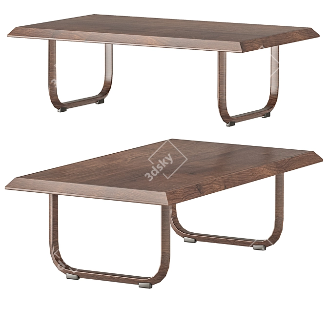 Modern Rako Coffee Table Display 3D model image 1