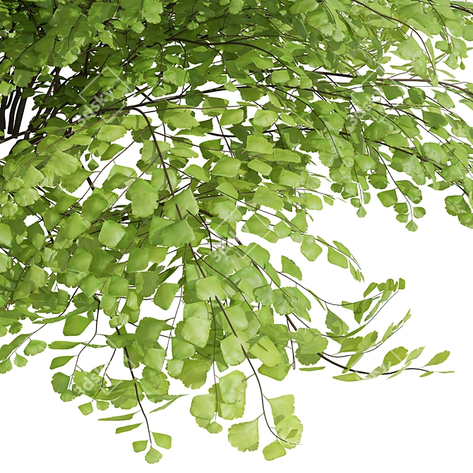 Outdoor Garden Box Bushes Set 3D model image 2