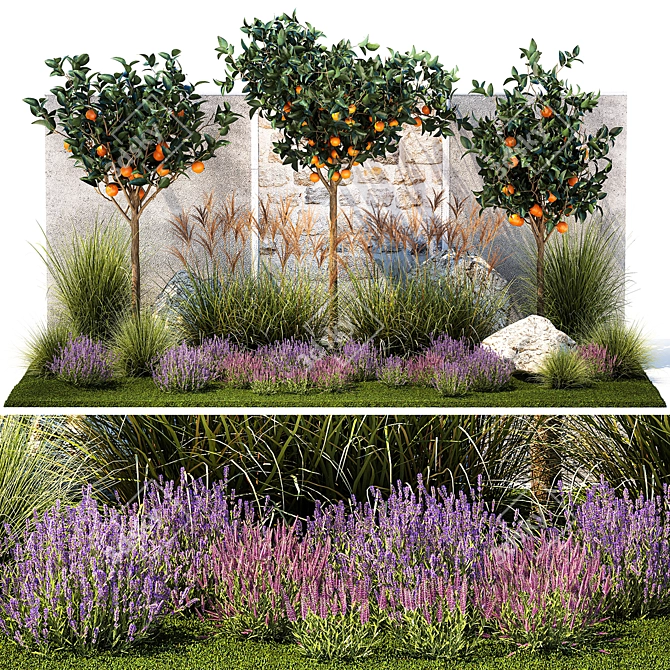 Citrus Collection with Lavender & Ornamental Grasses 3D model image 1