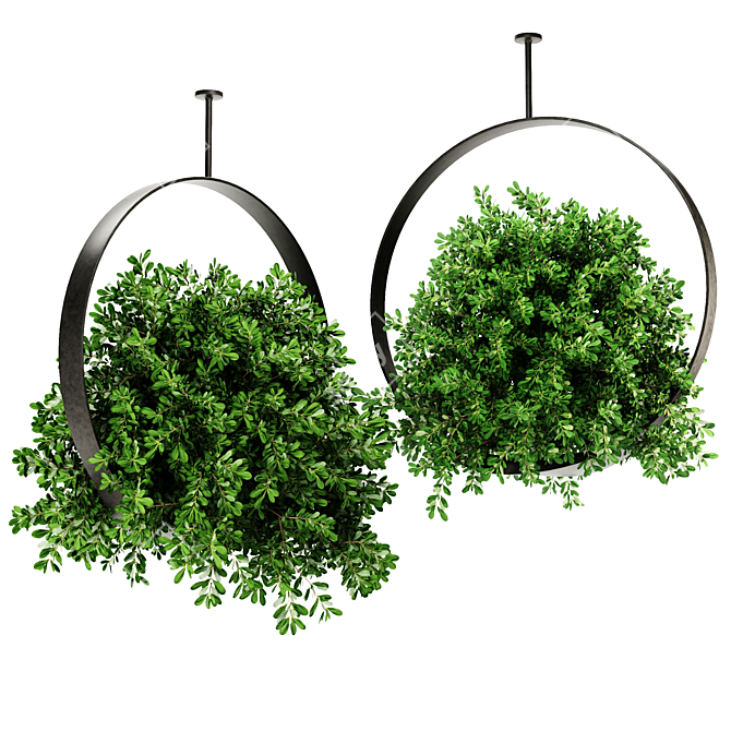 Premium Indoor Hanging Plant Set 3D model image 1