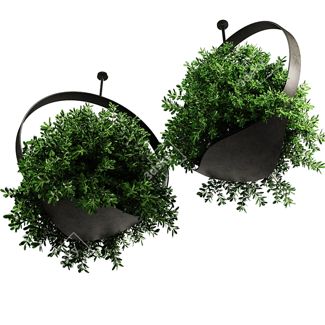 Premium Indoor Hanging Plant Set 3D model image 3