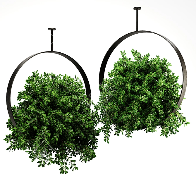 Premium Indoor Hanging Plant Set 3D model image 4