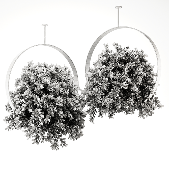 Premium Indoor Hanging Plant Set 3D model image 5