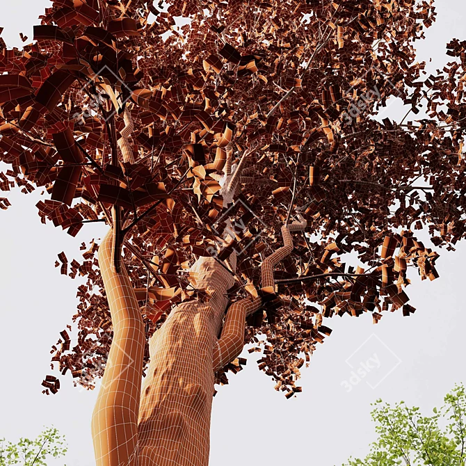 Alnus Glutinosa 3D Model Set 3D model image 4