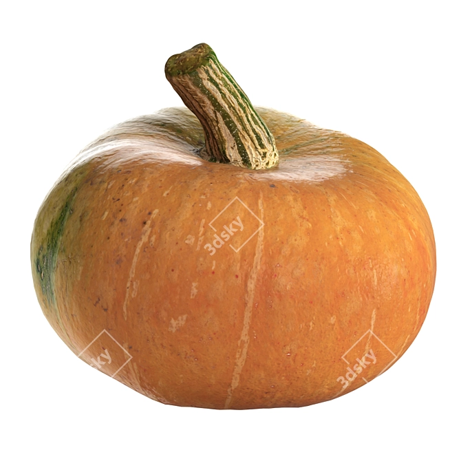 Round Pumpkin 3D Model 3D model image 1