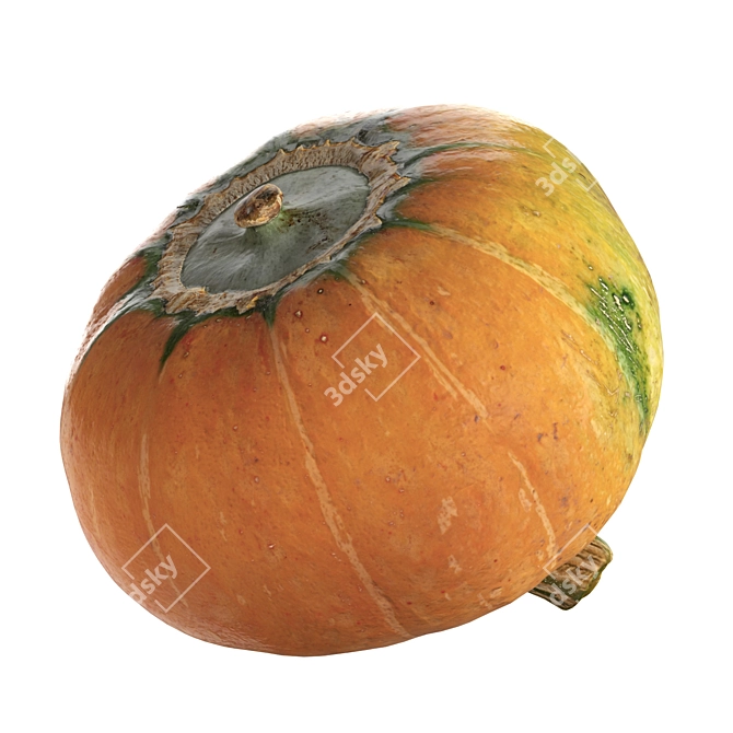 Round Pumpkin 3D Model 3D model image 3