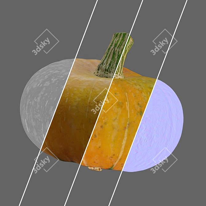 Round Pumpkin 3D Model 3D model image 6