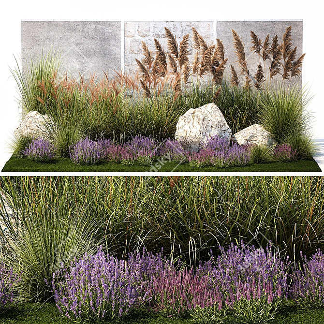 Landscape Plant Collection: Silverberry, Olive, Berberis, Thuja, Hydrangea 3D model image 1