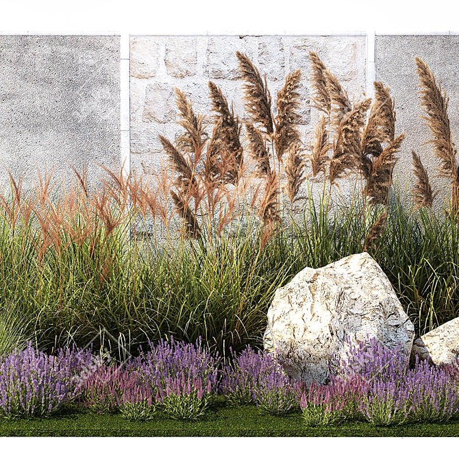 Landscape Plant Collection: Silverberry, Olive, Berberis, Thuja, Hydrangea 3D model image 2