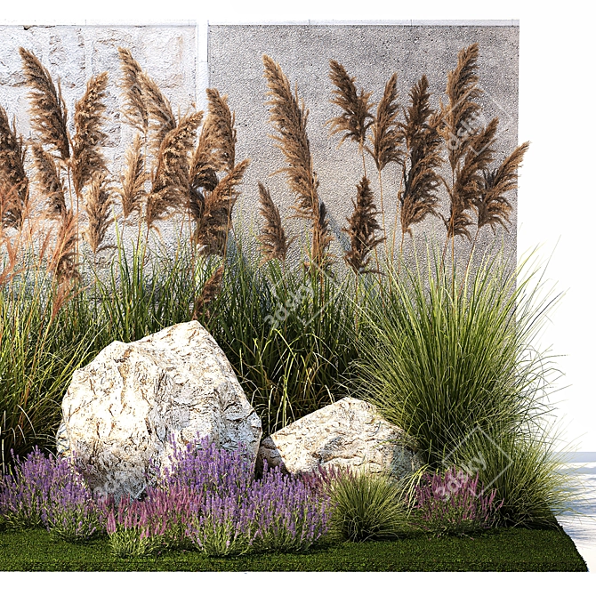 Landscape Plant Collection: Silverberry, Olive, Berberis, Thuja, Hydrangea 3D model image 3