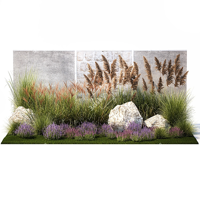 Landscape Plant Collection: Silverberry, Olive, Berberis, Thuja, Hydrangea 3D model image 4