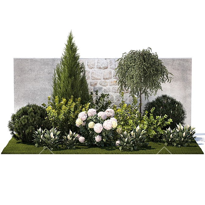 Landscape Plant Collection: Silverberry, Olive, Berberis, Thuja, Hydrangea 3D model image 11