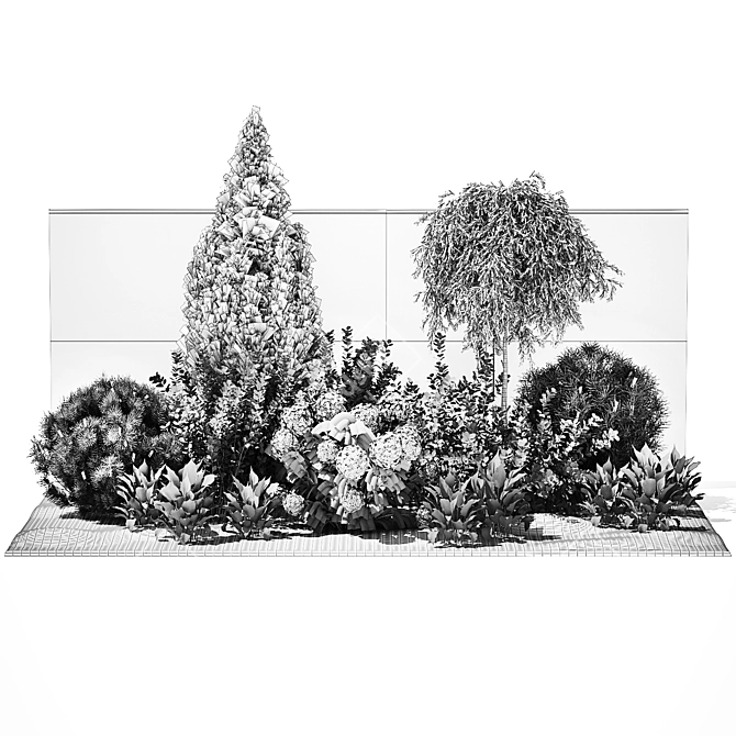 Landscape Plant Collection: Silverberry, Olive, Berberis, Thuja, Hydrangea 3D model image 14