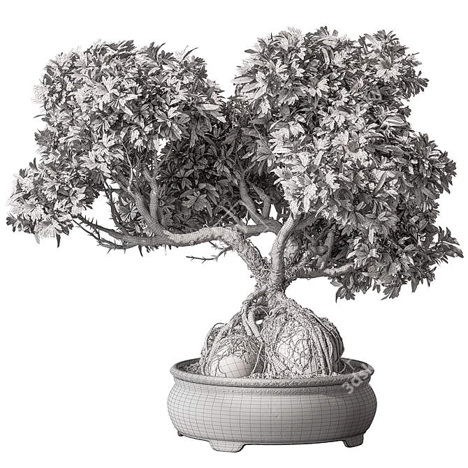 Zen Bonsai Plant 597 3D model image 1