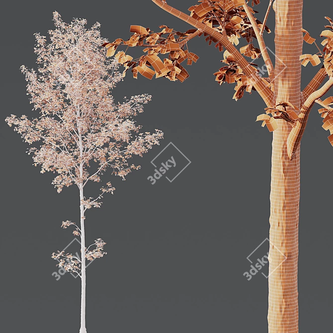 Alnus Glutinosa Trio 3D Models 3D model image 6