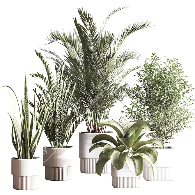 Modern Indoor Plant Set 3D 3D model image 1