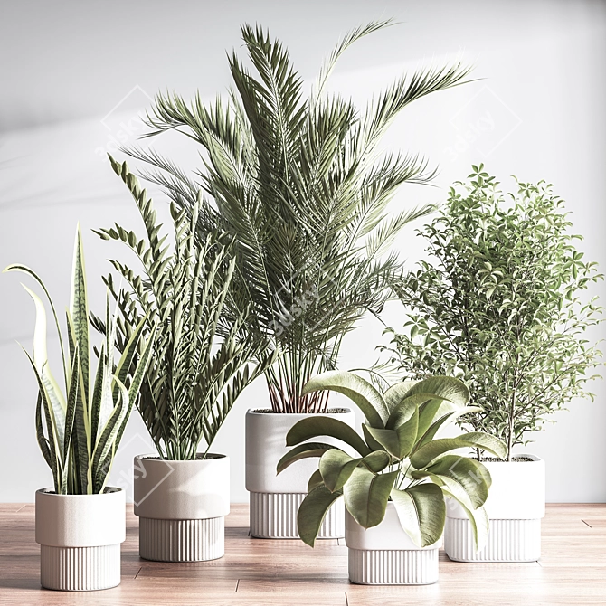 Modern Indoor Plant Set 3D 3D model image 3