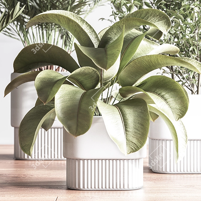 Modern Indoor Plant Set 3D 3D model image 5