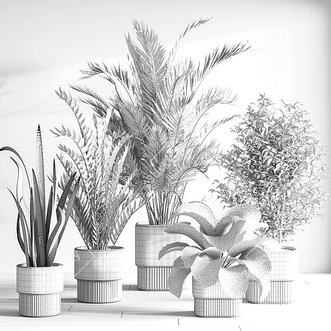 Modern Indoor Plant Set 3D 3D model image 8