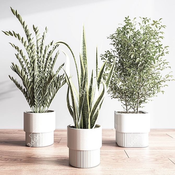 Modern Indoor Plant Set 3D 3D model image 11