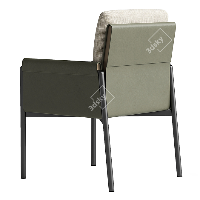 Ergonomic Zenit Chair by Turri 3D model image 2