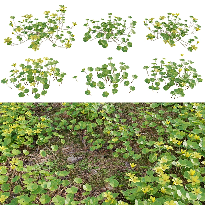  Diverse 3D Plant Models Collection 3D model image 1