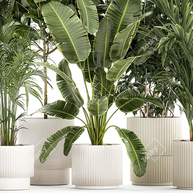 Tropical Plant Collection in White Pots 3D model image 4